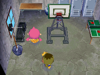 Deena's House in ACWW.png