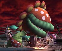 Petey Piranha cage sliding.jpg