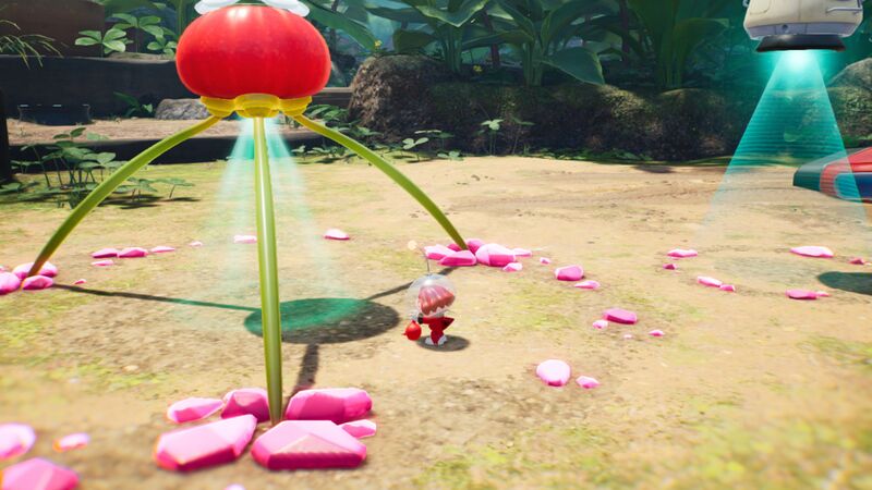 File:Pikmin 4 pluck.jpg